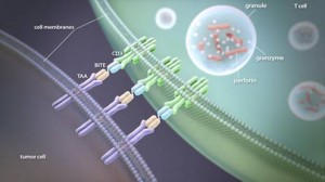 Funcionamiento de los anticuerpos nanotecnológicos