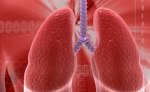 La nanotecnología podría llegar a curar enfermedades respiratorias